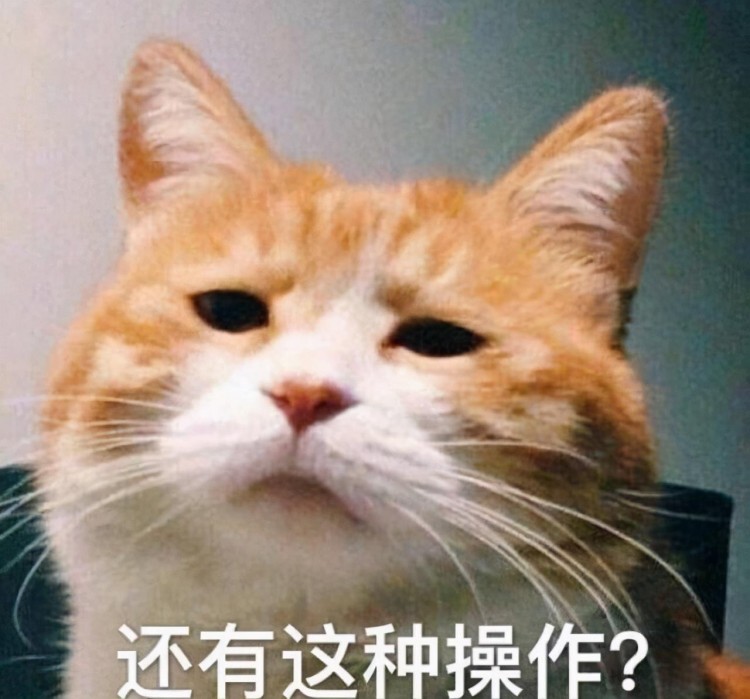 你养什么猫在生活中就是什么性格超准