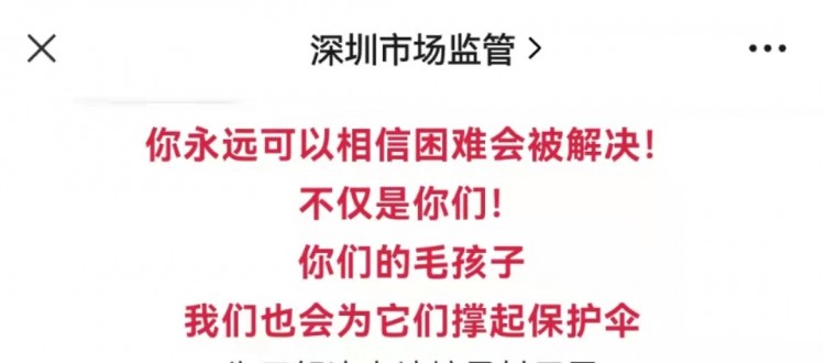 扩散！全国第一个8500㎡宠物收容所建成，疫情下的毛孩子得救了