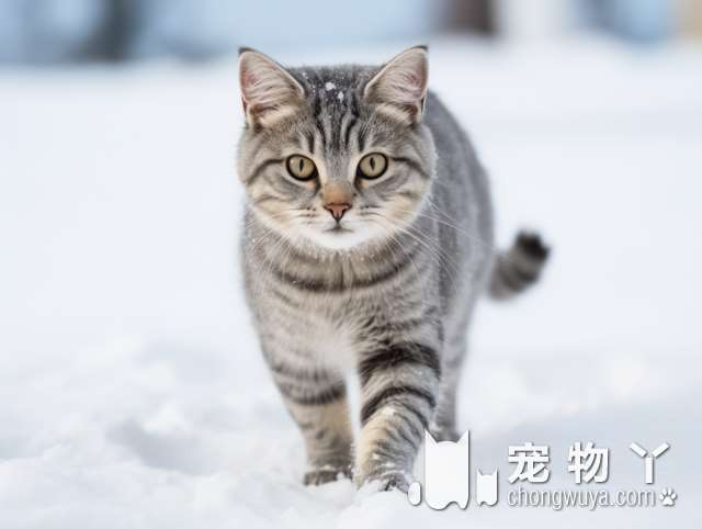 24小时猫狗眼科诊疗中心，设备齐全，专业服务。?